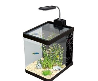 BOYU Аквариум 7.5л, черный, фильтр 2.5Вт, светильник 2Вт (ME-175 Black)