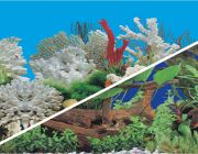 BOYU Фон для аквариума двухсторонний 60см*15м (J62/J59-60)