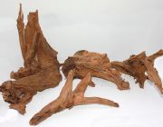 Коряга мангровая, размер L (KM-L-R)