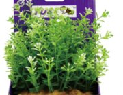 Искусственное растение 15см в картонной коробке (YS-60109)