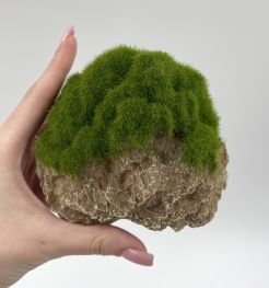 Аквадизайн 