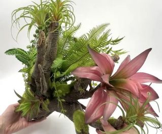 Композиция для палюдариумов и террариумов 46*30*42см (MJA-063) купить