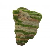 Аквадизайн 