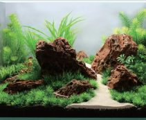 Аквадизайн 