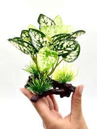 Искусственное растение 
