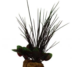 Искусственное растение для аквариума 13*10*25см (YS-30807)