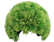 Грот-укрытие 