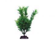 Искусственное растение 