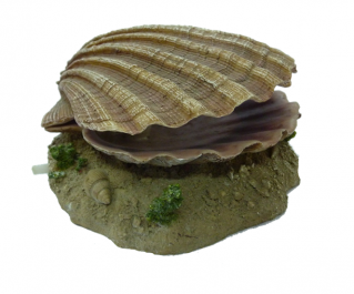 Грот для аквариума 