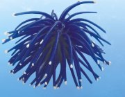 Декор из силикона 