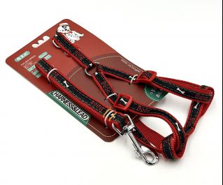 Шлейка с поводком 15мм*122см+40см/61см (нейлон) (1857)