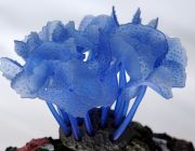 V Декор из силикона 