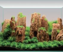 Аквадизайн 