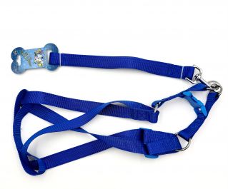 Шлейка с поводком 20мм*122см+55см/81см (нейлон) (1993)