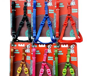 Шлейка с поводком 10мм*122см+30см/40см (нейлон) (1932)