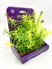 Искусственное растение 15см в картонной коробке (YS-60101)