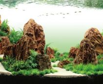 V Аквадизайн 