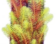 Кабомба красно-салатовая 38см в картонной коробке (YS-60517)