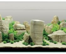 Аквадизайн (YS-201682)