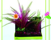 Искусственное растение 20см, в картонной коробке (YM-0727)