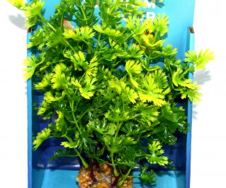Искусственное растение для аквариума 