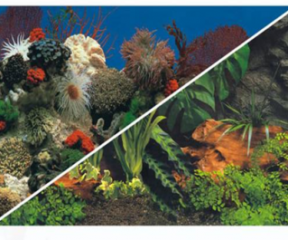 BOYU Фон для аквариума двухсторонний 80см*25м (C021080)