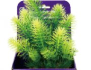 Кабомба зеленая 20см в картонной коробке (YS-60513)