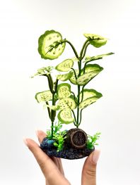 Искусственное растение 