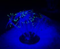 V Светящийся декор 