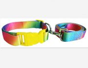 V Ошейник с поводком 20мм*120см+46см (нейлон) (NLLC-360)