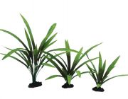 V Шелковое растение 