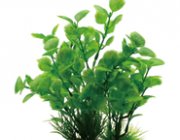 Искусственное растение 20см (YS-50301)