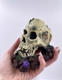 Грот для аквариума 