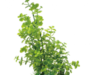 V Искусственное растение 30см (YS-50207)