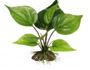 Искусственное растение 15см 