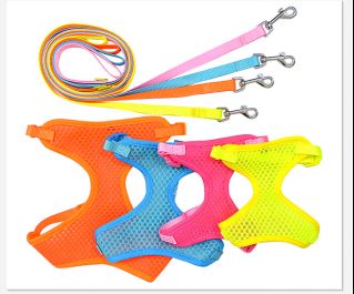 Шлейка с поводком (NLLH-420)