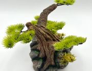 Грот Дерево 