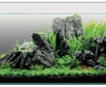 Аквадизайн (YS-201688)