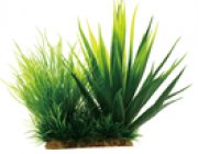 Композиция 