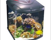 BOYU Аквариум 128л, фильтр 20Вт,светильник 2*24Вт.(TL-550)