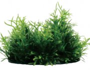 Композиция 