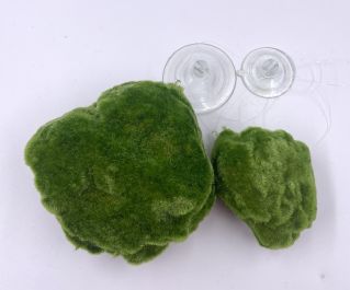 Аквадизайн 