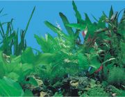 BOYU Фон для аквариума двухсторонний 40см*15м (J03/J11-40)