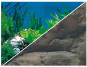 BOYU Фон для аквариума двухсторонний 80см*25м (C092180)