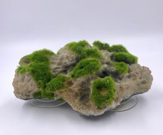 Аквадизайн 