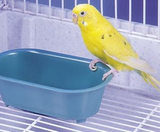 Ванночка для купания птиц (BA513)