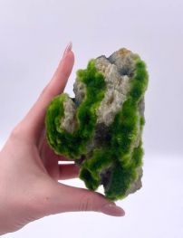 Аквадизайн 