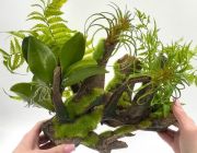 Композиция для палюдариумов и террариумов 36*31*33см (MJA-062)